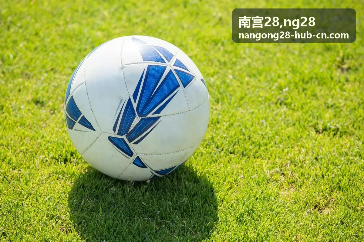 南宫28 NG28 内容入口重组案例封面